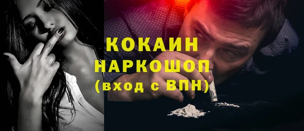 mdpv Инта